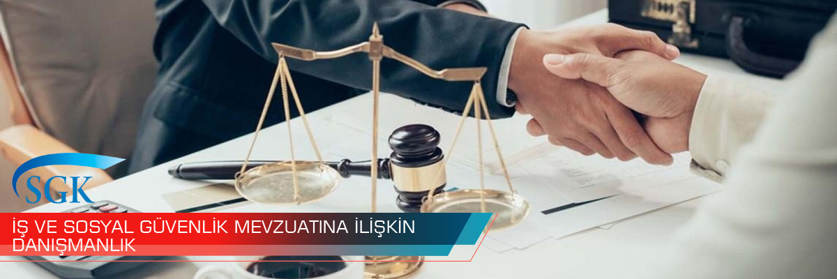 İŞ VE SOSYAL GÜVENLİK MEVZUATINA İLİŞKİN
DANIŞMANLIK